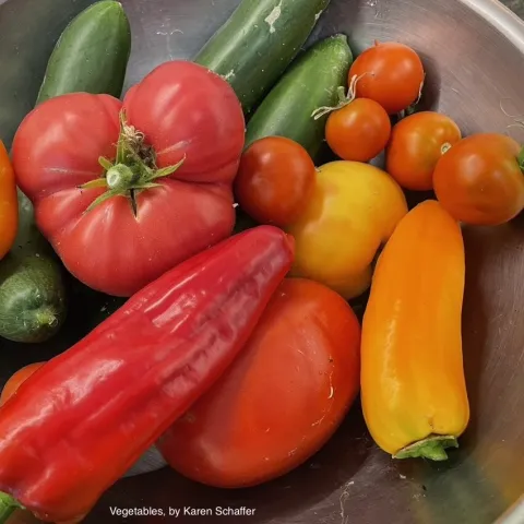 Vegetables, by Karen Schaffer