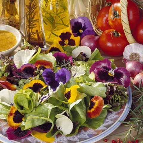Edible flowers arranged on plate.