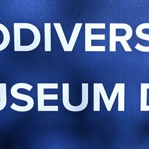UC Davis Biodiversity Museum Day sign
