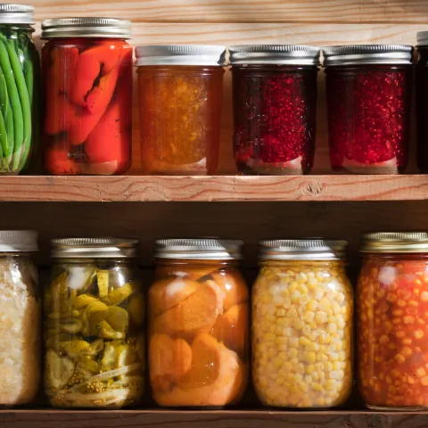 close up of two rows of jars filled with various preserved foods