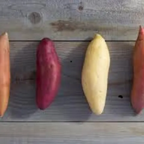yam sweet potato