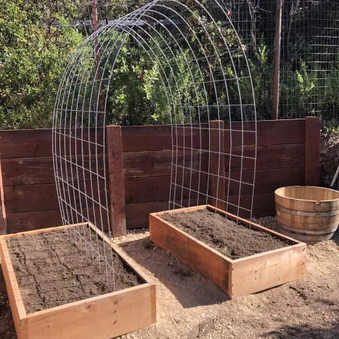 vegetable garden beds with an arbor ready to plant