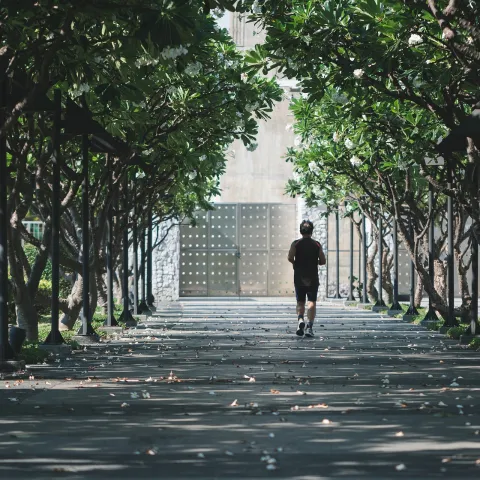 Photo of a jogger on a lovely, shaded, tree-lined walkway.