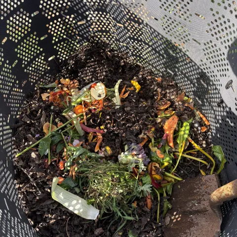 food waste in a compost pile