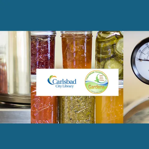 Compilation of food in glass jars and pressure meter