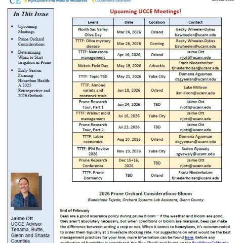 Sac Valley Prune Bloom 26