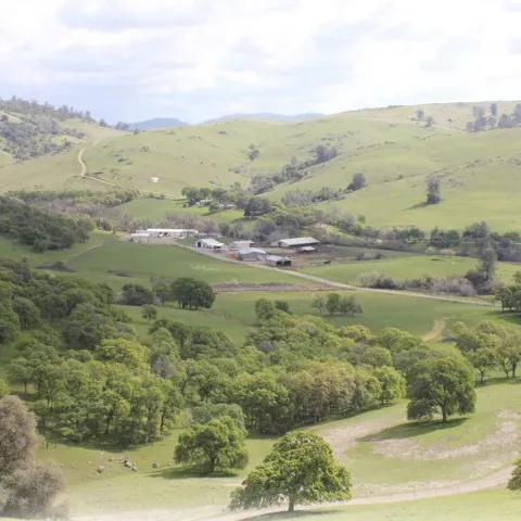 Aerial view of Sierra Foothill REC property -- rolling green hills studded with oak trees with a few buildings in the center