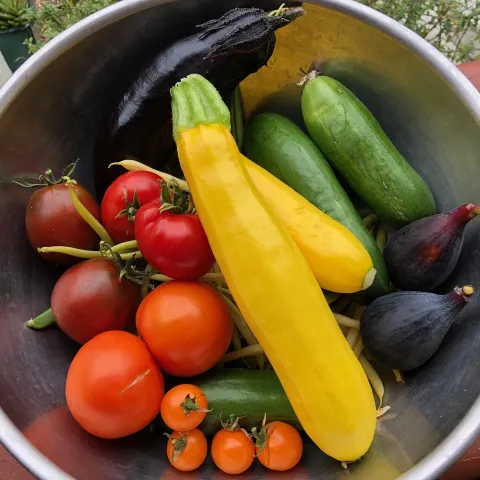 Bowl of summer fruits and veggies picked from the garden. by Karen Schaffer