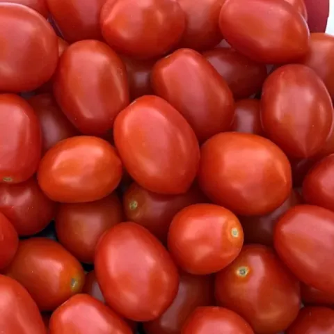 Three Tomato Varieties