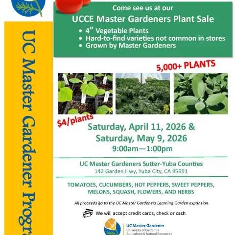 Tomato Plant Sale Flyer 2026 (jpg)