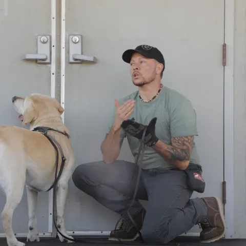 A man and a labrador beside a wall. 