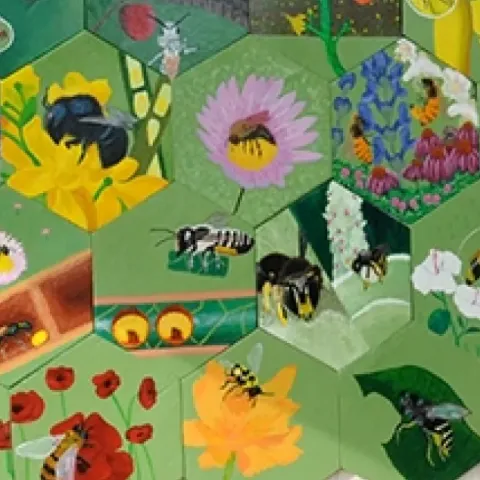 Then UC Davis doctoral student Sarah Dalrymple pointing to the art on the garden shed. (Photo by Kathy Keatley Garvey)