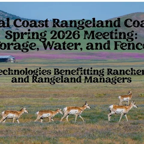 Colorful wildflowers and pronghorn in a grassland with title of workshop