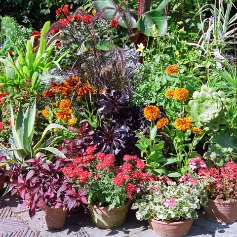 container gardening for all seasons