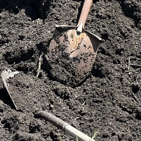 how to enrich garden soil