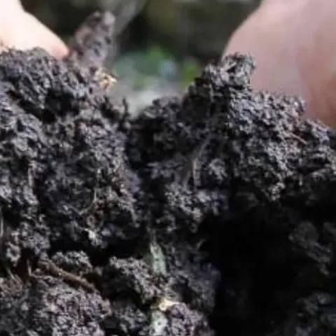 hands holding finished compost-banner-ucanr.edu