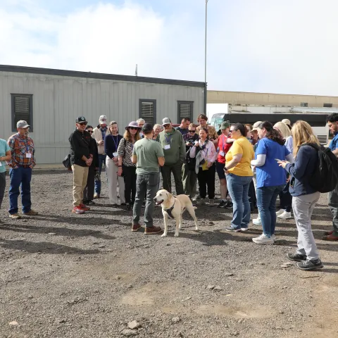 A group of people stand around a dog