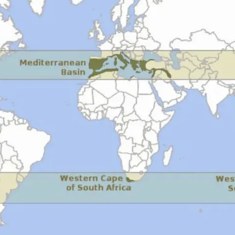Map of the Mediterrean Climate areas 