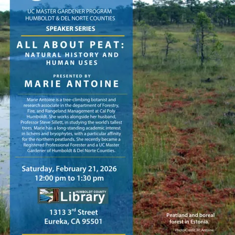 Flyer for the 02/21/2026 Master Gardener presentation, All About Peat