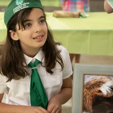 4-H member at display table for Art and Design Day