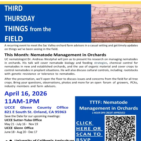 April Meeting Flyer Announcement for Third Thursday Things from the Field