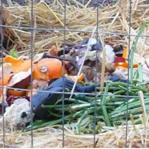 compost pile enclosed with chicken wire