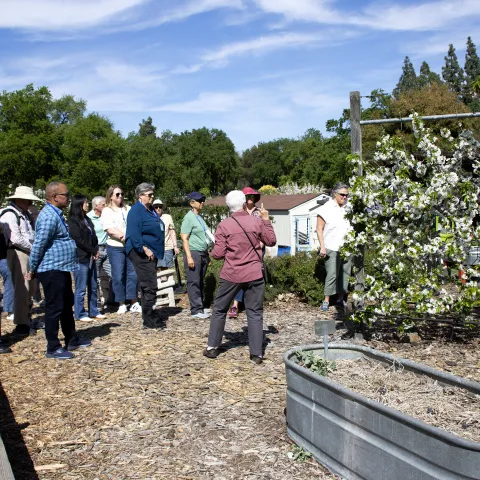 A group of people observe flowering shrubs as someone speaks to the group