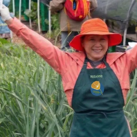 GTPS 2026 Banner, photo by CoCoMGUC AI enhanced