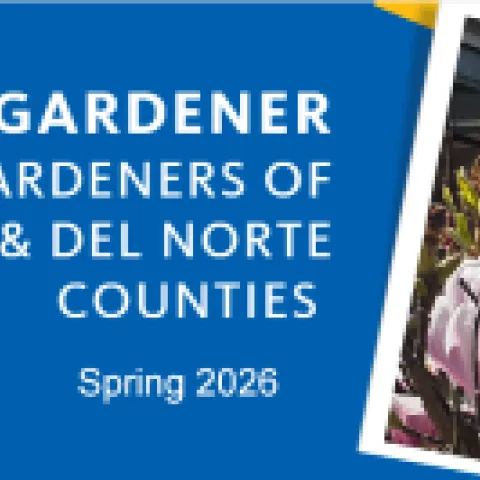 Coastal Gardener Spring 2026 header, a blue and gold rectangle with an image of a blooming tulip magnolia
