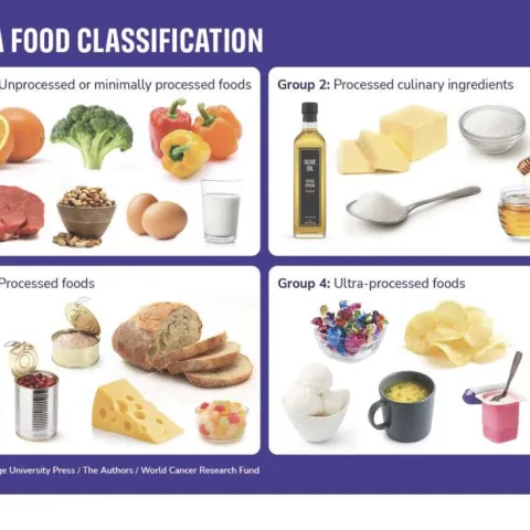 Graphic listing examples of foods falling within the 4 categories of Nova classification