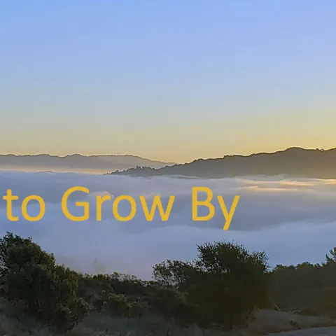 News to Grow Banner with colored text