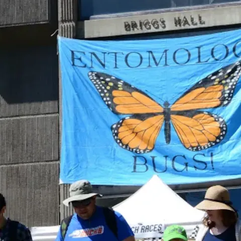 Briggs Hall, UC Davis, during Picnic Day.