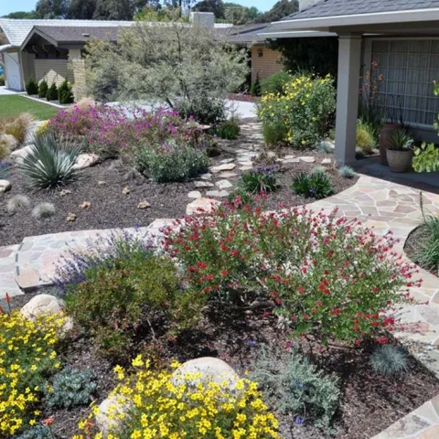 Fire-smart residential landscape with drought-tolerant plants