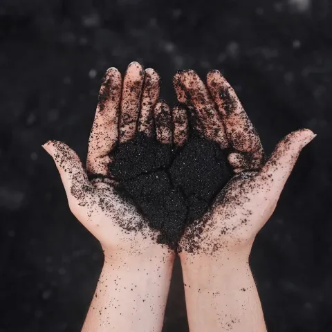 hands holding rich soil in a heart shape