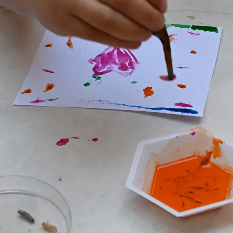 Artists work with maggots to create maggot art.