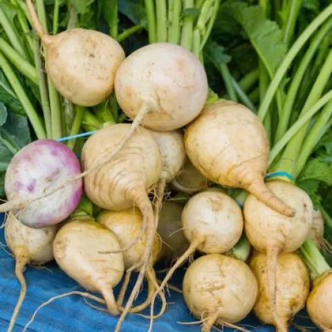 Fruits And Vegetables | UC Agriculture and Natural Resources