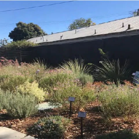 Winters Community Library Teaching Garden, green shrubs with building and blue sky