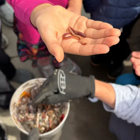 worms in an open hand