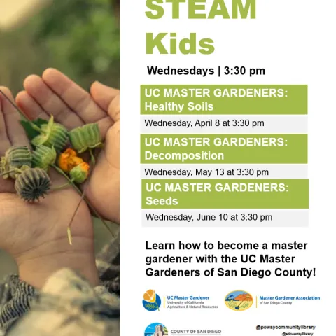 Closeup of child's hands holding green flowerbuds. Next to it, the words "Poway Library STEAM Kids Wednesdays 3:30 pm. UC Master Gardeners, Healthy Soils, April 8, Decomposition May 13, Seeds June 10. Learn how to become a master gardener with the UC Master Gardeners of San Diego County!" Below are the logos of UCANR Master Gardeners, Master Gardener Association of San DIego County, County of San DIego Library "Sdcl.org/poway Poway Library 13137 Poway Rd. Poway, CA 92064 858-513-2900"