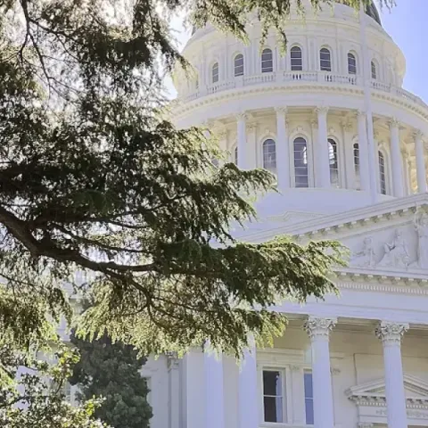 looking up at the capitol building
