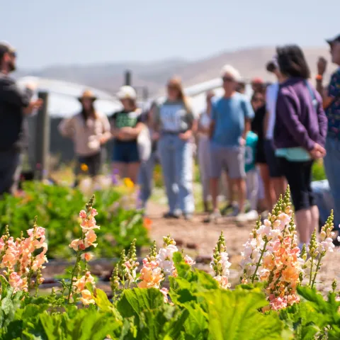 Group of people in a field