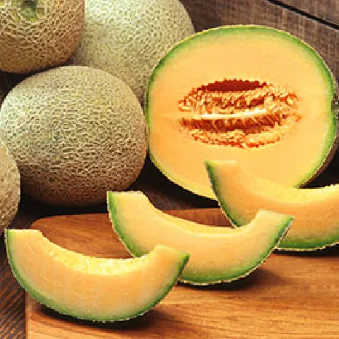 Whole and cut open cantaloupes