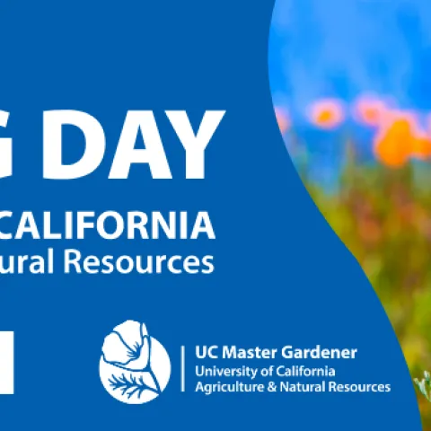 Giving Day May 14-15