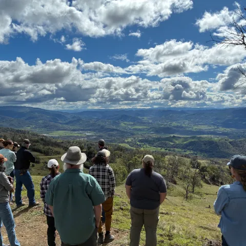 A group of people stand under fluffy white clouds and a blue sky looking over a verdant landscape