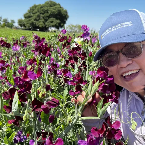 A smiling Fam Lee leans into flowers amid a field