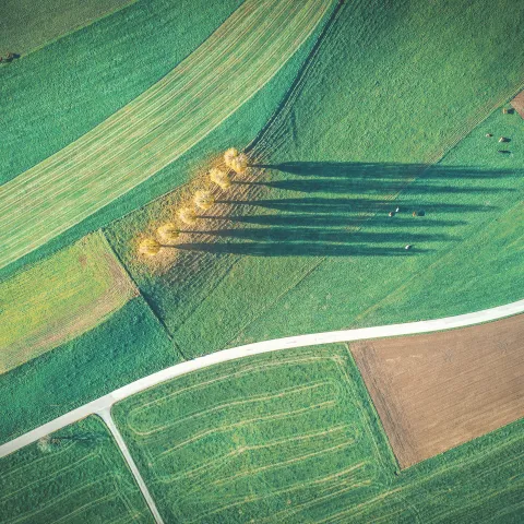 drone footage of farmland