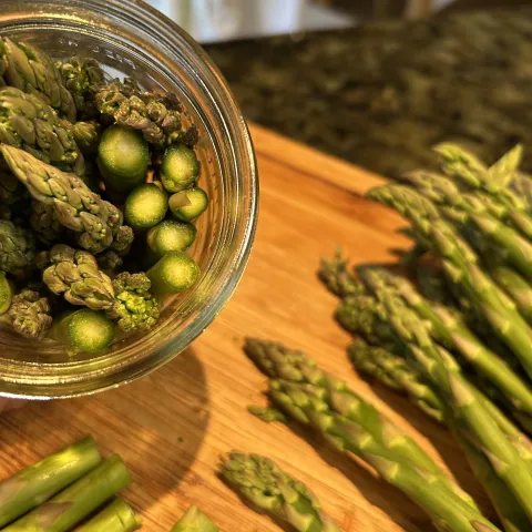 raw asparagus stuffed into a jar with flat end down