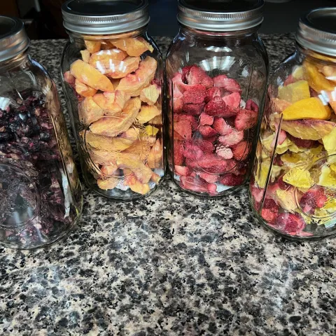 mason jars containing various dehydrated foods