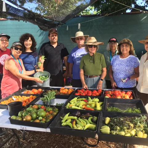 Volunteers at the Gardening Education Center