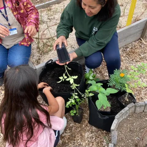 a family planting grow bags with vegetable starts 